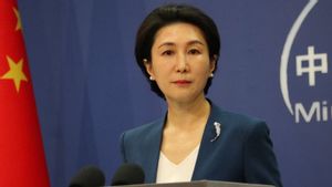 China Proposes UN Security Council Reform