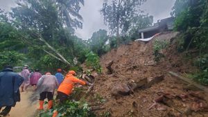 Wilis Trenggalek Lereng的6人被山体滑坡掩埋