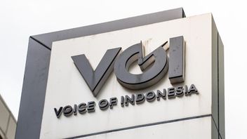 VOI, 6년, 그리고 우리는 여전히 달리고 있다.