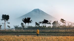 Kompetisi Video dan Fotografi Diharapkan Bantu Citra Pariwisata Indonesia