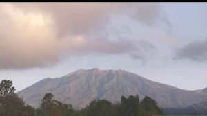Hasil Pengamatan PVMBG: Ada Titik Api di Kawah Gunung Raung