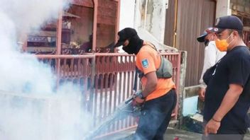 In Last 4 Months, Average Case Of Dengue Fever In Bogor Has Reached 100 Patients