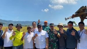 Bulog-Pupuk Indonesia Sinergi Serap Gabah, Perkuat Ketahanan Pangan