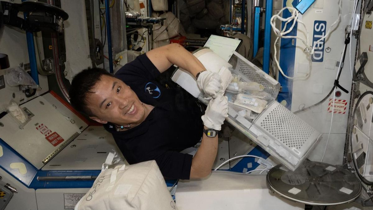 NASAとロスコスモスの宇宙飛行士は、宇宙滞在中の身体の変化の影響を観察します