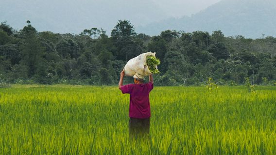 IKN当局は、ヌサンタラ市の農民の持続可能性を確保することにコミットしています