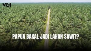 Wacana Presiden Prabowo Tanam Sawit di Papua, Ini Penjelasan Bahlil