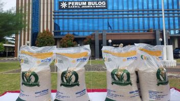 Bulog Ensures Premium Quality Social Assistance Rice, Free From Lice