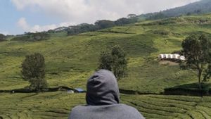 Pagaralam Sumsel Siaga Longsor, Aktivitas Pendakian Gunung Dempo Tetap Normal 