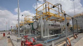 DSLNG's Commitment To Fulfill Domestic Gas Appreciated By Experts From The Minister Of Energy And Mineral Resources