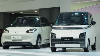 Wuling Rajai EV Market in Indonesia in the first quarter of 2024