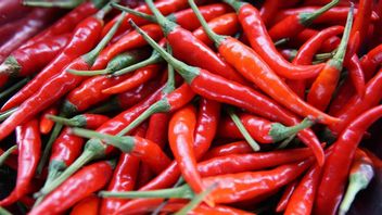 Chili Rawit Spicy Spicy到达Probolinggo市场的钱包，价格跌破IDR 85,000每公斤