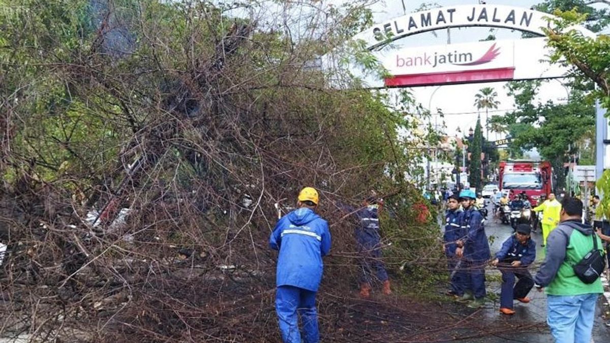 Rain And Strong Winds In Malang, Dozens Of Houses Were Damaged