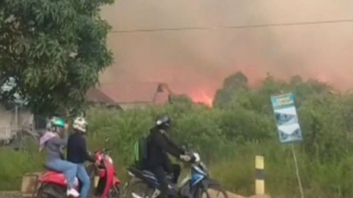 班贾尔巴鲁南加里曼丹森林和陆地火灾