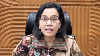 Sri Mulyani's Subordinates: Indonesia Has The Ability To Pay Debt, Better Than Malaysia, Singapore And Thailand