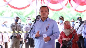 Minister Edhy: Cantrang And Lobster Policy Made For Community Welfare