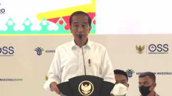Minta Penerbitan NIB Hingga 100 Ribu per Hari Melalui OSS,  Jokowi: Kepala Daerah Harus Dorong UMKM Miliki Izin Usaha