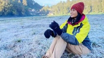 Kemunculan Embun Salju di Kaki Gunung Semeru Menarik Wisatawan