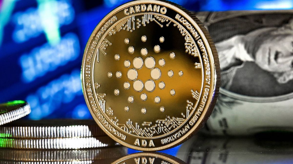 Cardano Is Increasingly Shining In The Third Quarter, Here's The Proof!