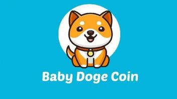 Baby Doge Coin Holder (BABYDOGE) Bat Un Nouveau Record, Passe Avec Succès Shiba Inu Et Dogecoin!