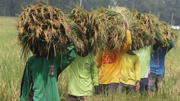 食料安全保障が優先事項であり、政府は145の規制を削減