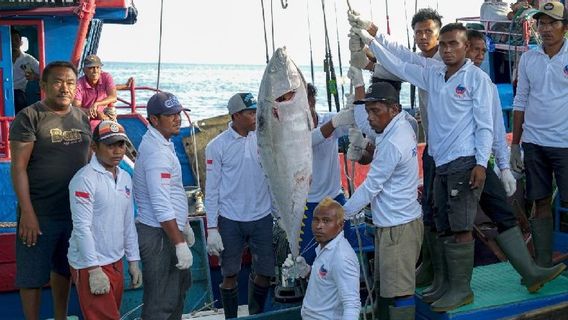 Biak Supply 1.7 Tons Of Fresh Tuna Fish To The Japanese Market