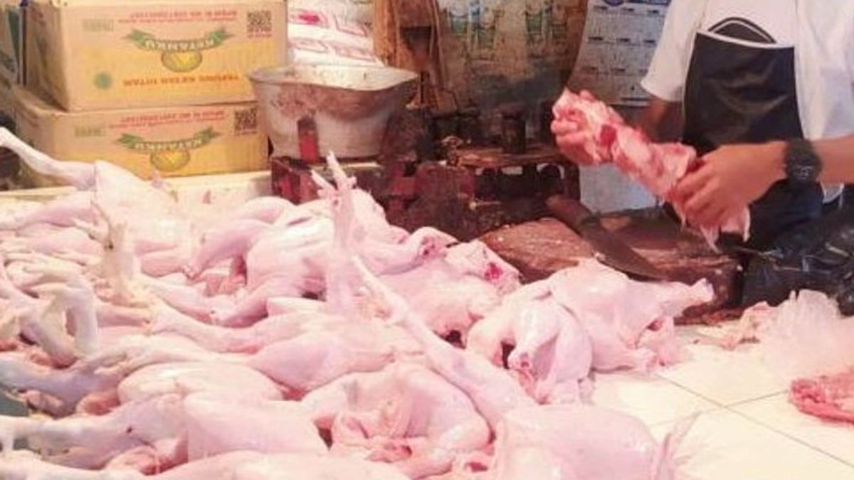 急激な増加、バベル伝統市場の鶏肉1Kg半透明Rp50千