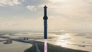 FAA Asks SpaceX to Investigate Starship Booster That Fell into the Gulf of Mexico