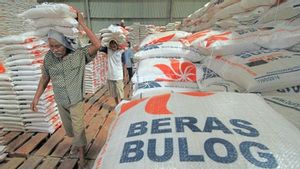 Tekan Harga, Beras Operasi Pasar Digelontorkan 4.500 Ton ke Cipinang