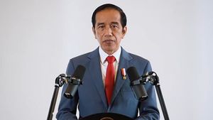 Jokowi Minta OJK Beri Bukti Konkret Dukung Program Hilirisasi Pemerintah