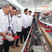 Panen Brokoli hingga Ayam Petelur di Rumah Pangan PNM, Menko Zulhas: Bantu Ketahanan Pangan