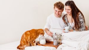 Sebagai Olahan dari Susu, Bolehkan Kucing Makan Keju?