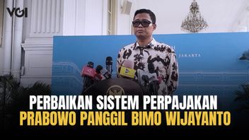 Penerimaan Pajak Sedang 'Seret', Prabowo Minta Perbaikan Sistem Perpajakan, Panggil Bimo Wijayanto