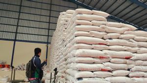 Bulog Tawarkan Beras Premium ke Importir Arab Saudi, Targetkan Ekspor Tahun Ini