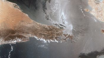 Japan-US Agree to Safeguard Navigation Security in the Strait of Hormuz
