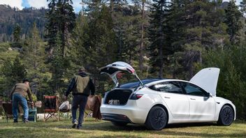 特斯拉在最新Model Y上独家推出无缝制动技术 