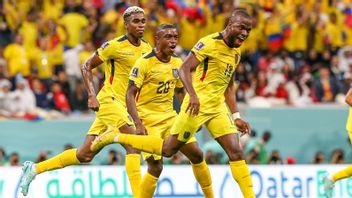 معاينة كأس العالم 2022، هولندا ضد الإكوادور: حفل تحديد أبطال المجموعة الأولى