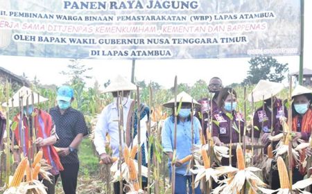 Makanan Khas NTT: Dimulai dari Cerita Rakyat dan Diakhiri dengan Hasil Pertanian Jagung