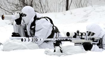 Wow, All South Korean Army Infantry Units Are Now Equipped With Sniper Rifles