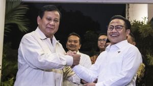 PKB Benarkan Koalisi dengan Gerindra, Jazilul Fawaid: Koalisi Kebangkitan Indonesia Raya