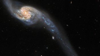 哈勃望远镜捕捉到两个大星系侧翼小星系的事件