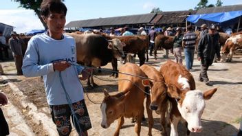 Ahead Of Eid Al-Adha, CIMB NIaga Syariah Makes It Easy To Purchase Sacrificial Animals Via The Application