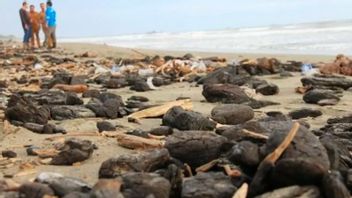 Kemenhub Membahas Upaya Penanganan Pencemaran Laut Bersama Australia