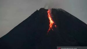 Gunung Merapi Keluarkan 17 Kali Guguran Lava Pijar