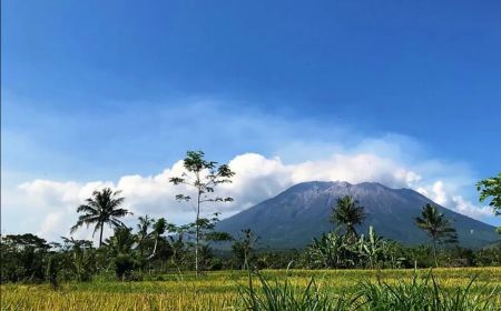 Kebakaran 75 Hektare di Hutan Gunung Agung Bali Akibat Cuaca Panas