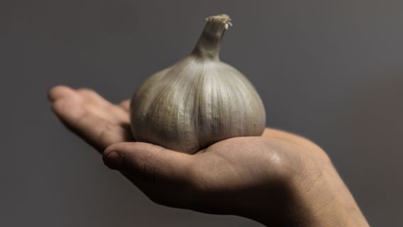 Une erreur d'utilisation d'aucins blancs lorsque nous cuisinerons que nous connaissons rarement