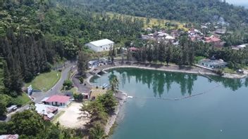 PLN Indonesia Power Ready To Develop 50 MW Floating PLTS In Lake Singkarak