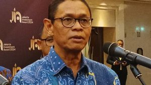 Kementerian ESDM Bakal Turunkan Tim untuk Tindaklanjuti Arahan Prabowo Berantas Tambang Ilegal