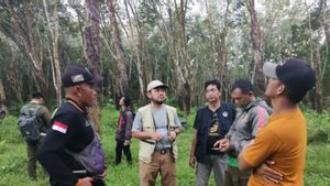 BKSDA forme une équipe de recherche de chat en or errant au PTPN 7 Lampung Resources