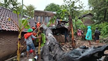 班图尔·鲁萨克(Bantul Rusak)的6所房屋在大雨中被Tumbang树击中