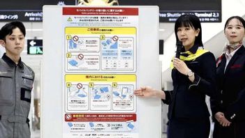 ابتداء من 24 أبريل ، تحظر اليابان استخدام البطاريات في الطائرات